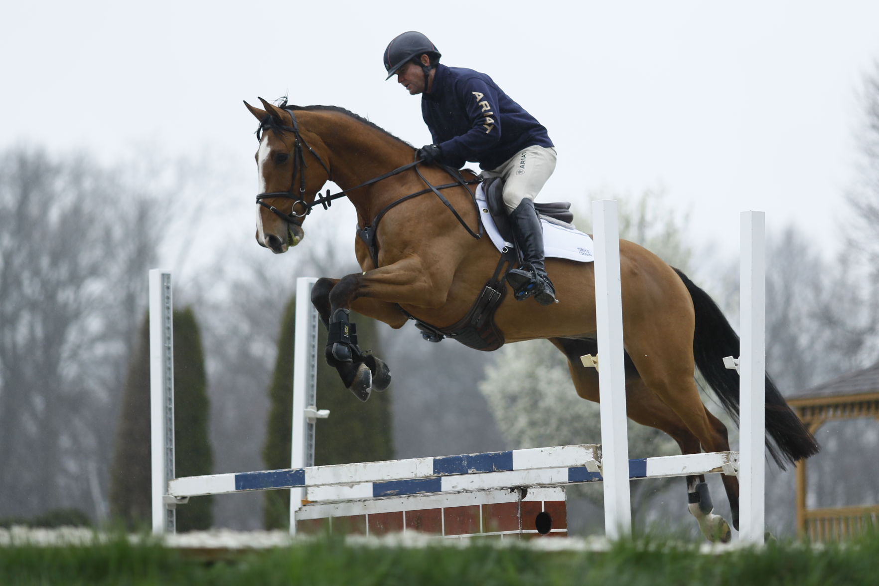 Virus Outbreak Olympic Equestrian Photo Gallery